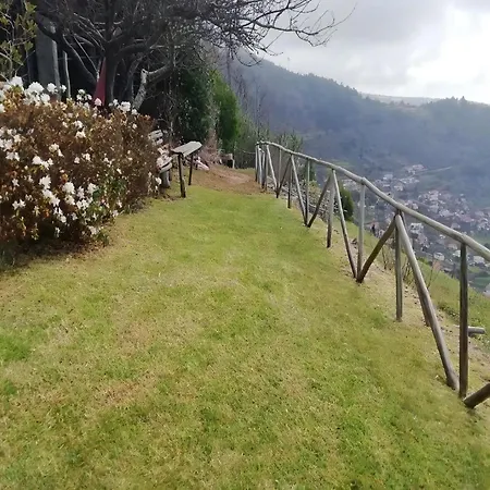 Haus In Arco Da Calheta Mit Garten Und Meerblick Holiday home