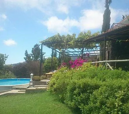 Hébergement de vacances Haus In Arco Da Calheta Mit Garten Und Meerblick Estreito Da Calheta